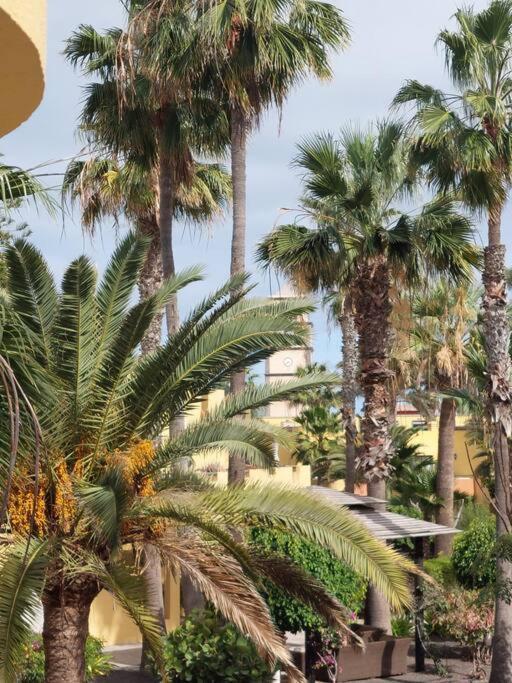 Апартаменты Atlantic Garden - Casa Helena Коральео Экстерьер фото